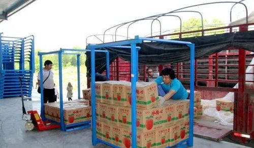 永州嘉信冷鏈倉(cāng)儲(chǔ)物流中心正式開業(yè)，助推區(qū)域物流體系升級(jí)